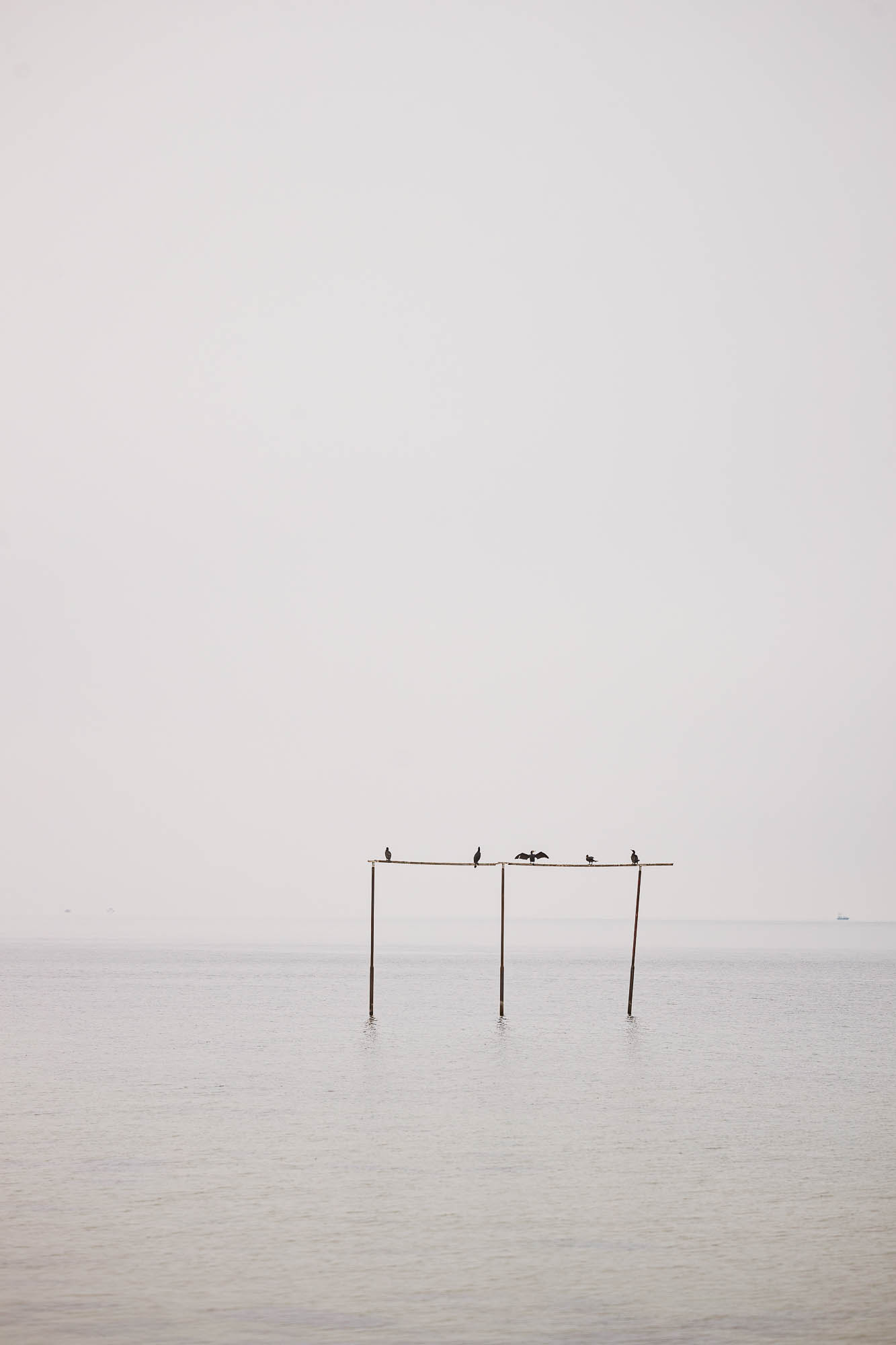 Export x3 1DX29963 Hochzeit 2020 Monika & Sharru